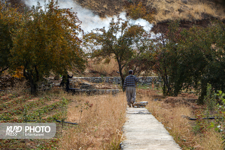 پاییز کردستان