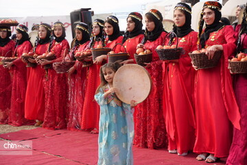 باز «انار» سلسله جنبان شد / رامین پی بردی