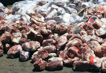 ۴۹ تن فرآورده دامی فاسد در کردستان معدوم شد