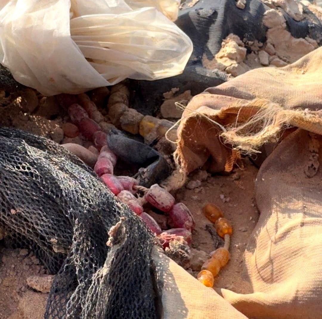 کشف گور دستهجمعی جدید در سماوه؛ فاجعهای دیگر از جنایات انفال