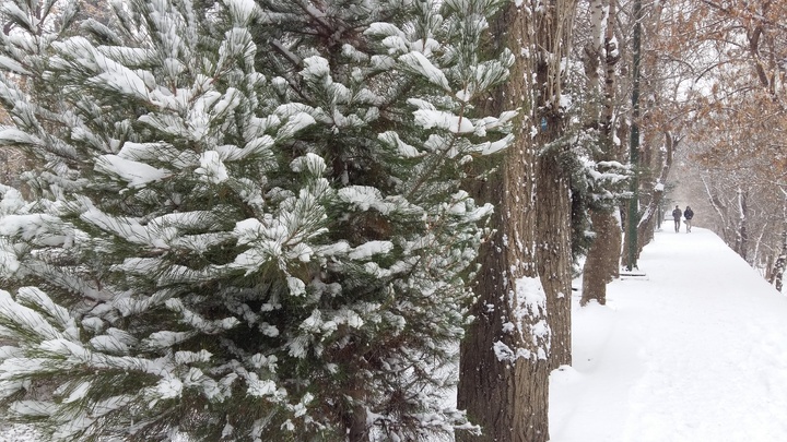 باران و برف در راه آذربایجان غربی