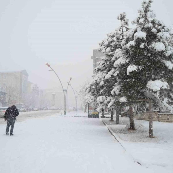 از حکاری تا ارزروم؛ کردستانِ ترکیه زیر لحاف سنگین برف خوابید + تصاویر