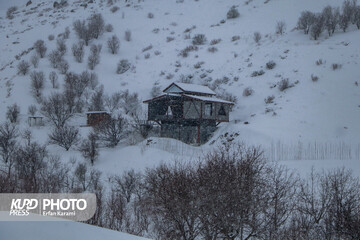 تداوم بارش برف و یخبندان شدید در کردستان؛ افت دما تا منفی ۲۰ درجه