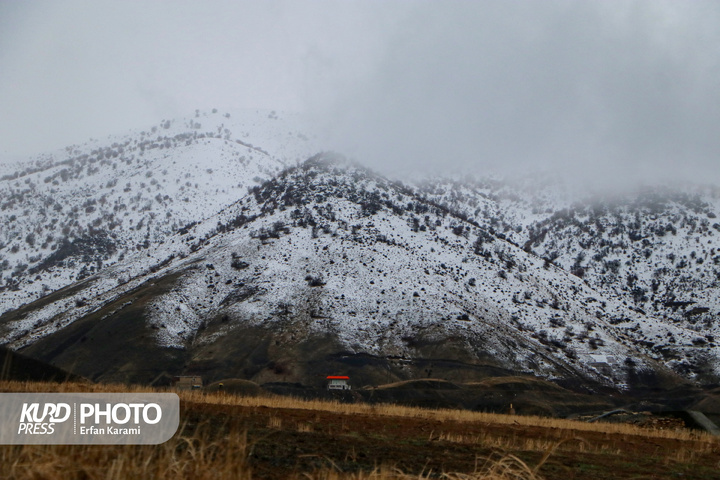 بارش برف در گردنه مروارید کامیاران