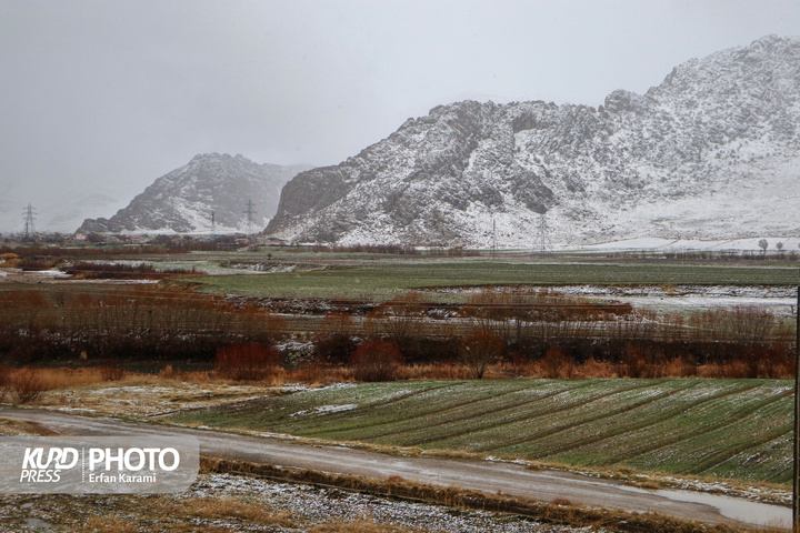 بارش برف در گردنه مروارید کامیاران