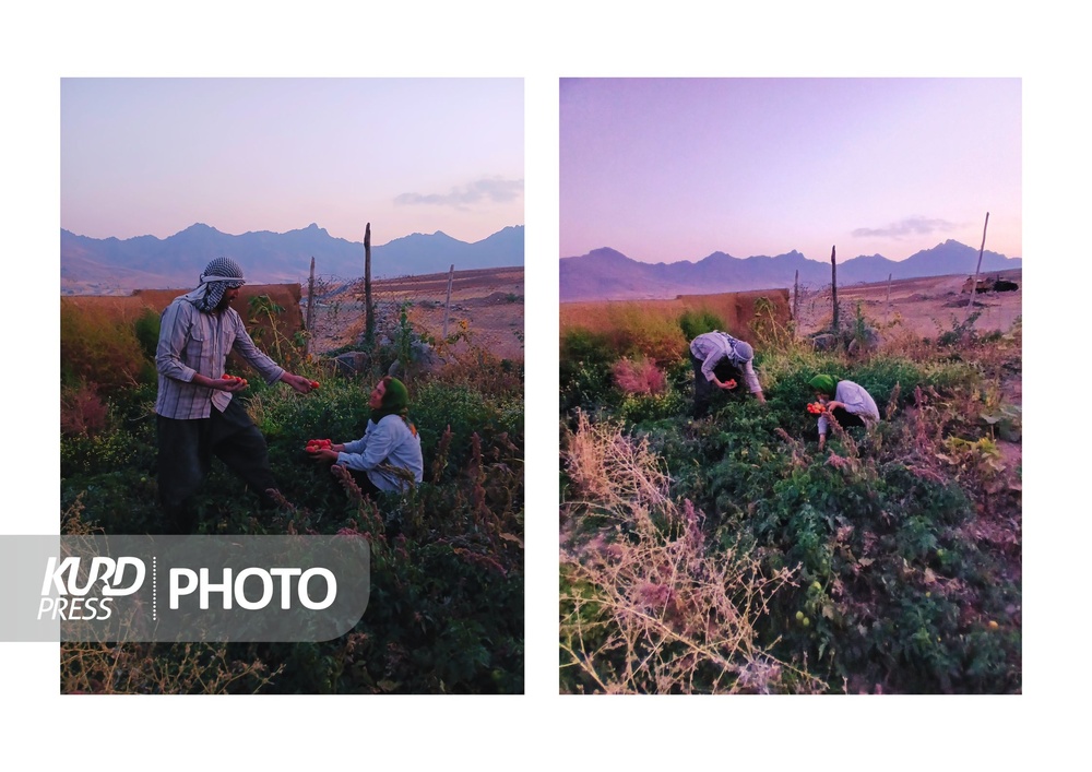 هفت کانیان؛ آرامشی در دل «پریشان»