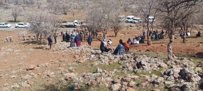 شلیک نیروهای نظامی به مردمی که به قطع درختان در مناطق روستایی آمد اعتراض می کردند