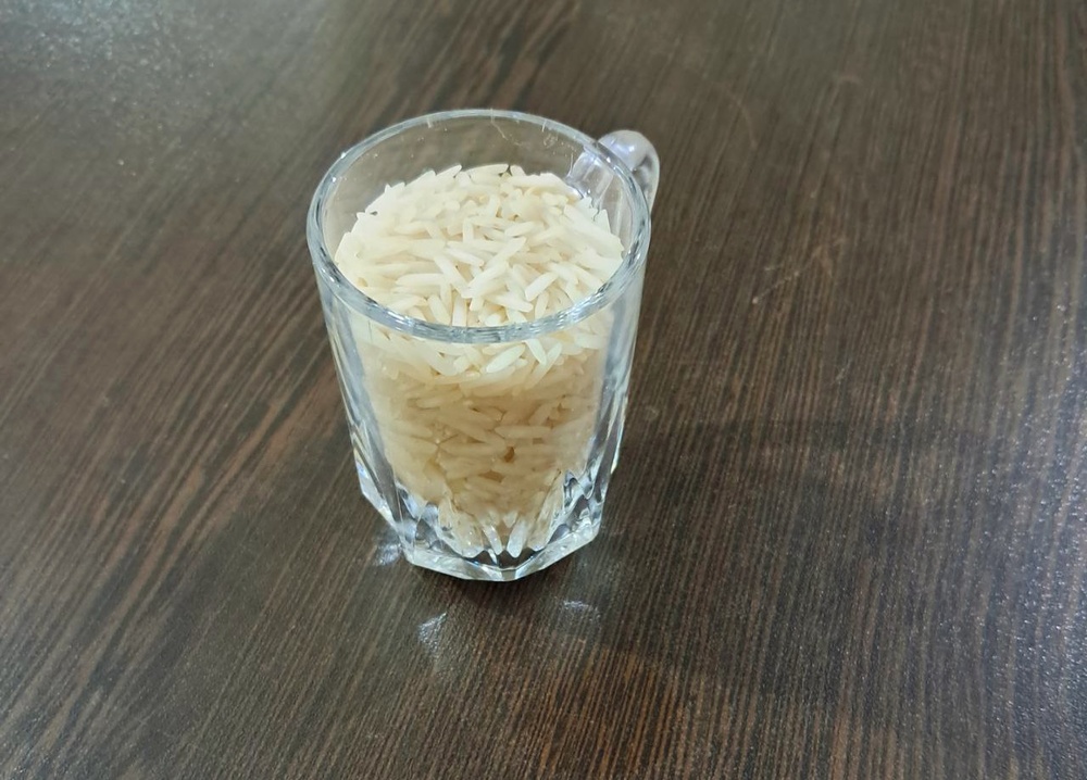 سورانه / الهه عباسی