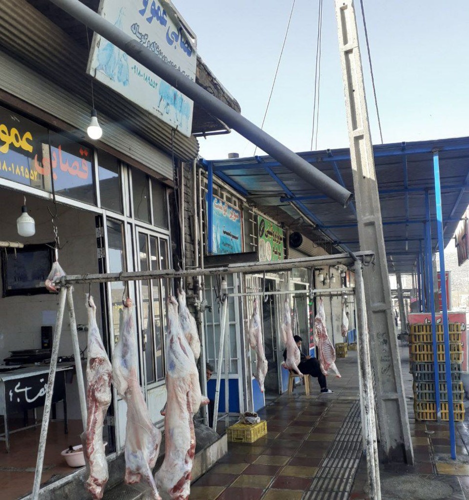 پژوهشی پیرامون تاریخچه شهر سرمست / میثم رجبی