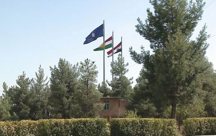 گۆڕانی گردی زەرگەتە هەڕەشە لە میدیاکان دەکات