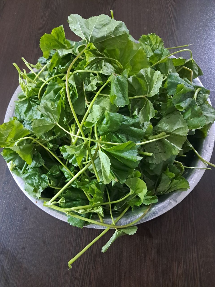 تولیَه / الهه عباسی