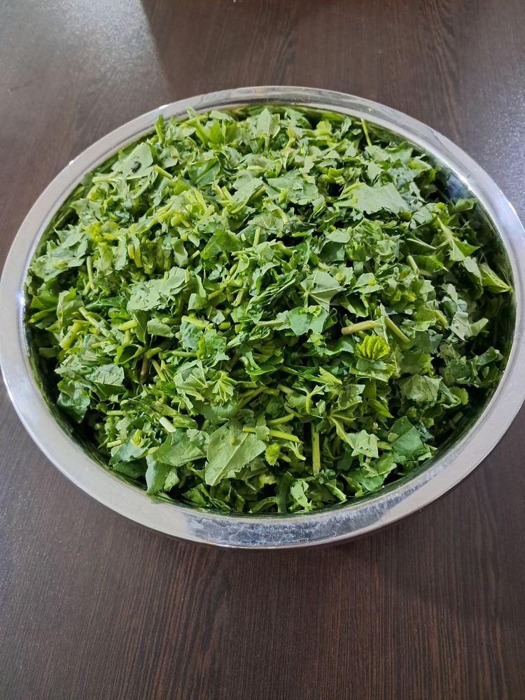 تولیَه / الهه عباسی