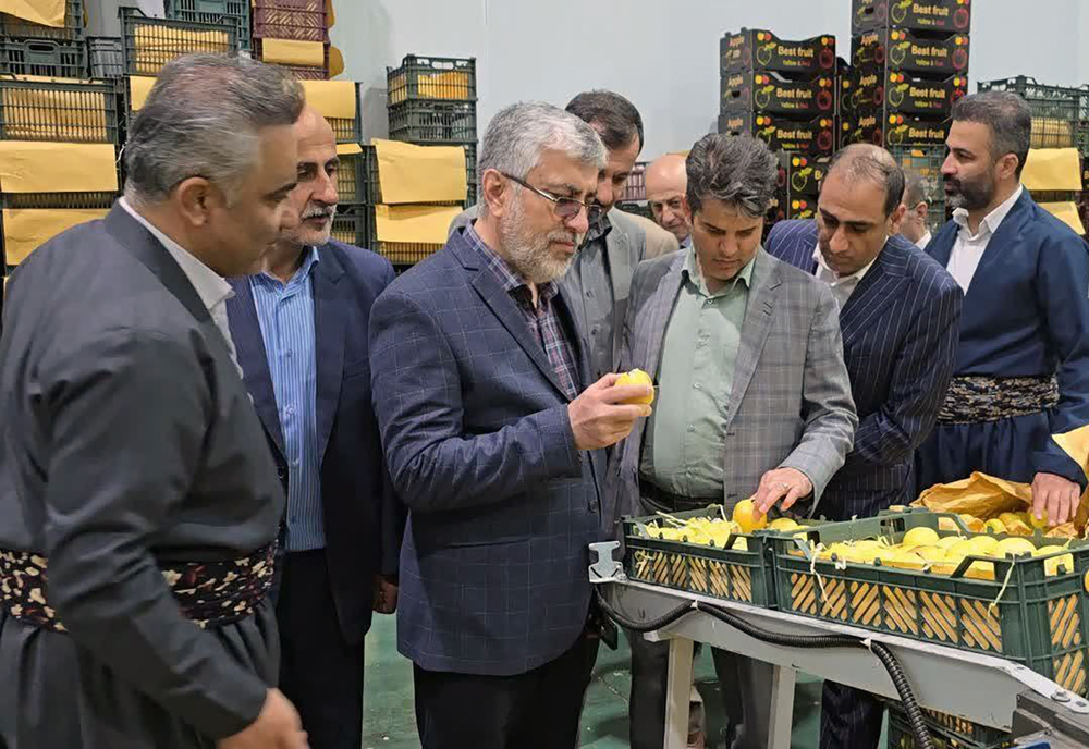 اجرای طرح توسعه و تسهیل سرمایه گذاری در کردستان ضروری است