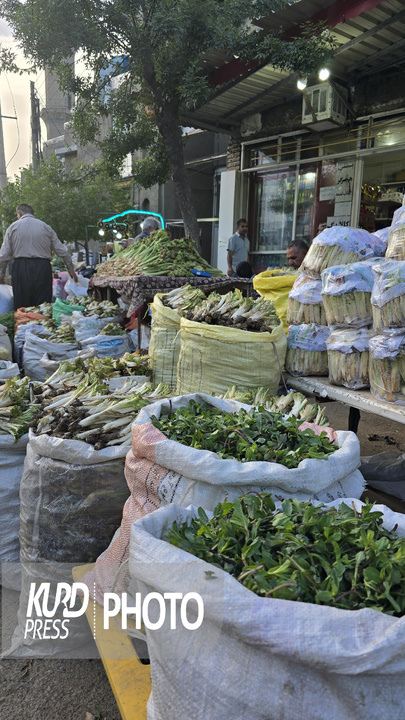 بازار گیاهان خوراکی و دارویی در مهاباد
