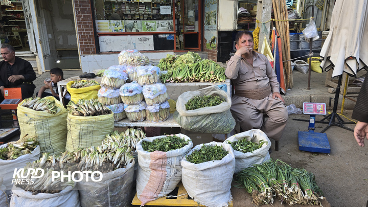 بازار گیاهان خوراکی و دارویی در مهاباد