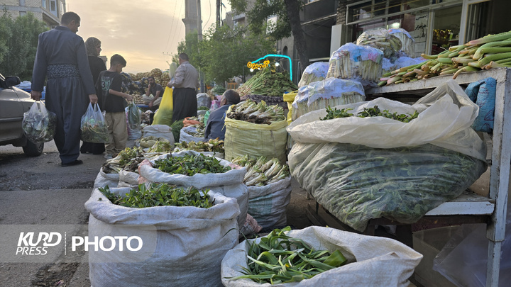 بازار گیاهان خوراکی و دارویی در مهاباد