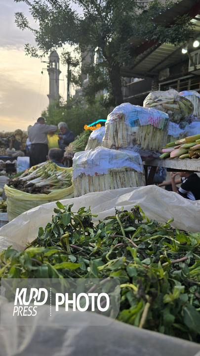 بازار گیاهان خوراکی و دارویی در مهاباد
