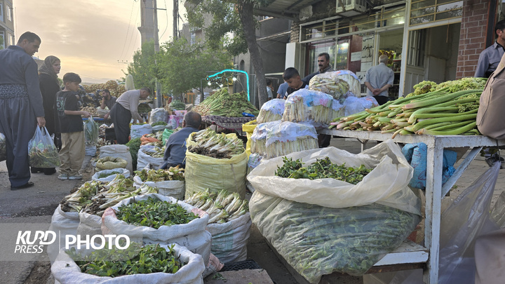 بازار گیاهان خوراکی و دارویی در مهاباد
