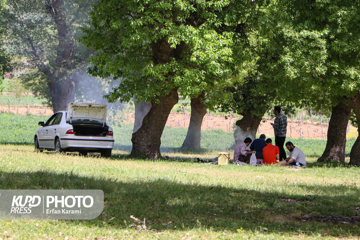 سومین فم تور خبری مریوان