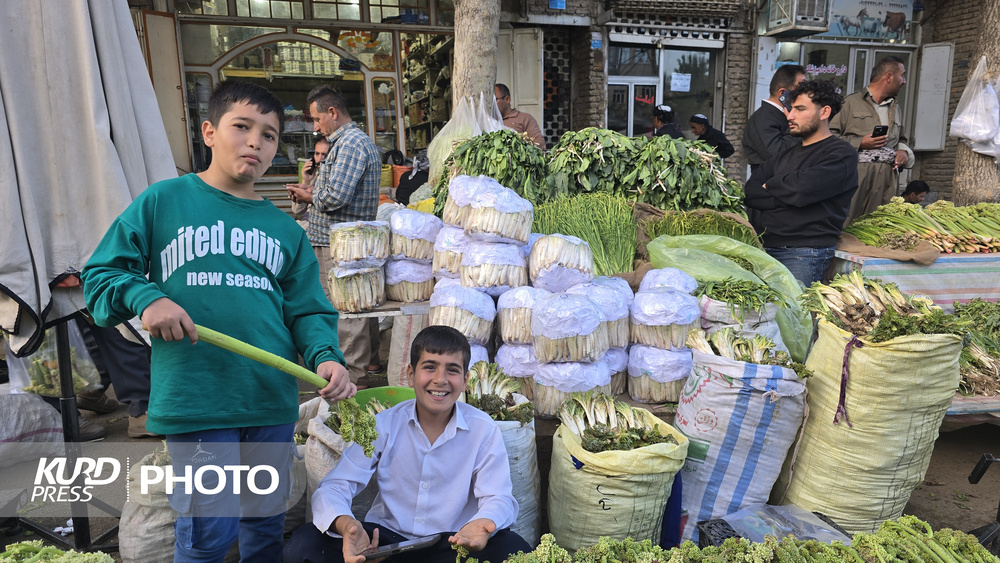 بازار گیاهان خوراکی و دارویی در مهاباد/عکس: حسین بهاری