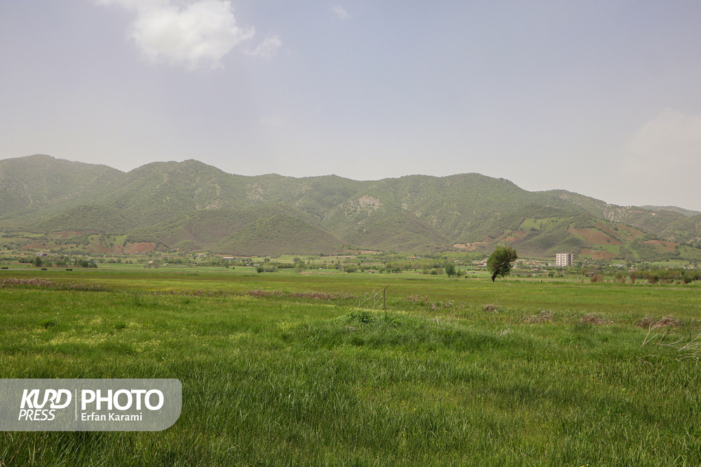 روایتی فم تور خبرنگاران در سرزمین زریوار و لک لک ها