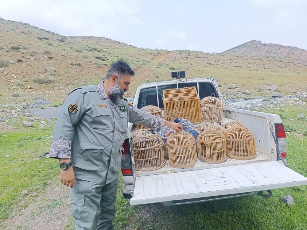 متخلفان زنده گیری پرندگان در اشنویه به دام قانون افتادند