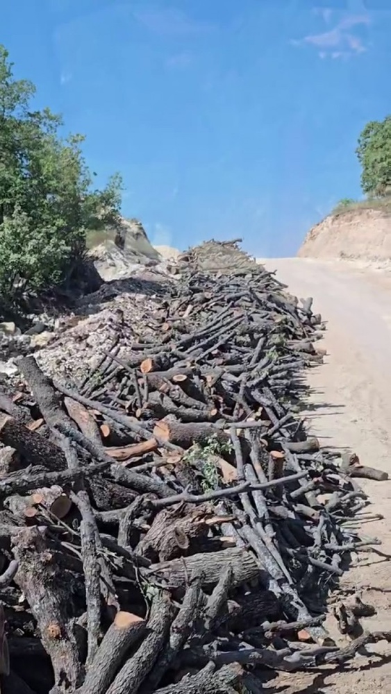 تخریب گستردهی محیطزیست در کوه گابار؛ قطع درختان برای ساخت جادههای نظامی و حفاری نفت