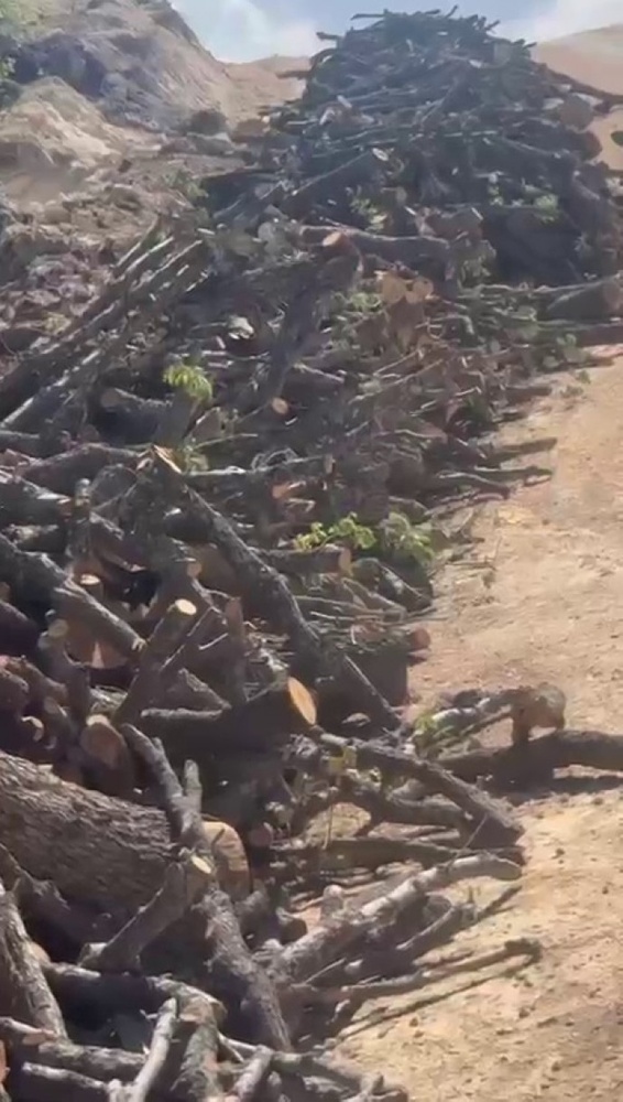 تخریب گستردهی محیطزیست در کوه گابار؛ قطع درختان برای ساخت جادههای نظامی و حفاری نفت