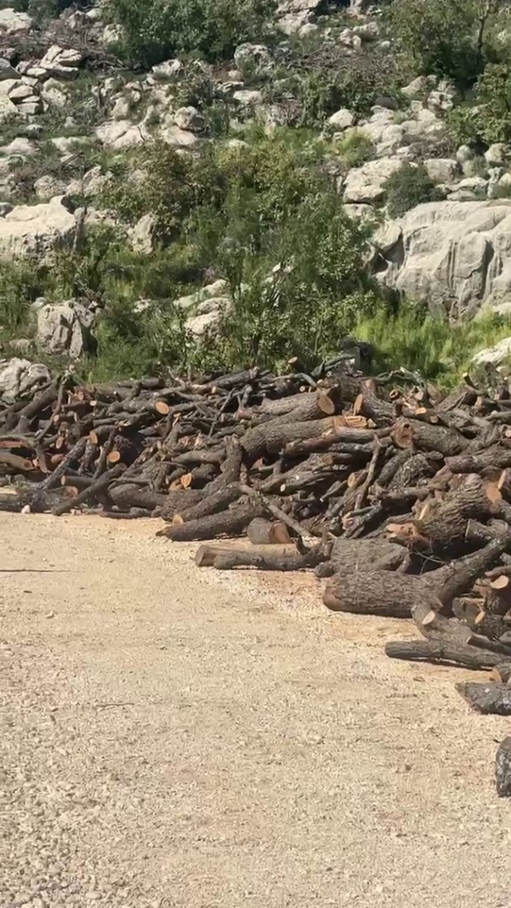 تخریب گستردهی محیطزیست در کوه گابار؛ قطع درختان برای ساخت جادههای نظامی و حفاری نفت