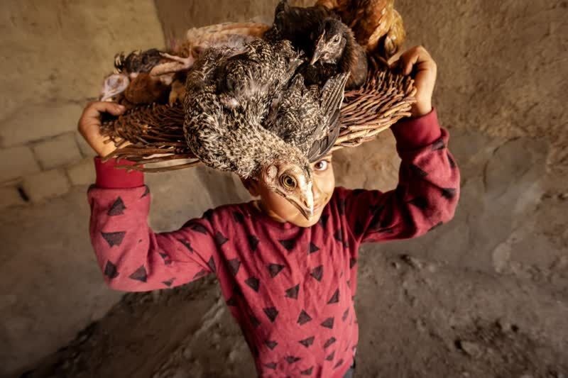 عکاس بوکانی طلایی شد