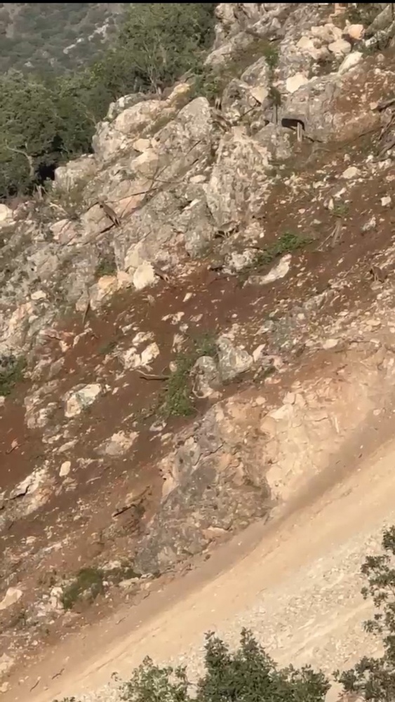 تخریب بیوقفه در گابار؛ زیستگاه غزالها و بزهای کوهی در خطر نابودی+ فیلم