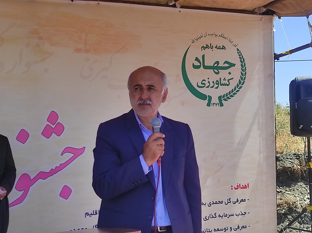 گل محمدی محصول اقتصادی برای اقلیم بانه