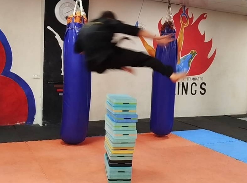 هوشین کیدو هاپکیدو، هنری رزمی برای هماهنگی نیروی درونی انسان/ محمد حسینی