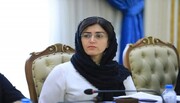فساد در گذرگاه‌های عراق و بودجه حشد شعبی عیان است، اما از اقلیم انتقاد می‌شود