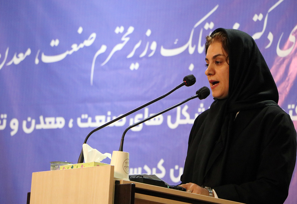 فعالان اقتصادی کردستان در نشست با وزیر صمت چه مطالباتی داشتند؟!