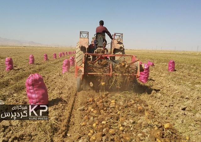 اجرای سند آمایش سرزمین تنها راه نجات محیط زیست ایران است