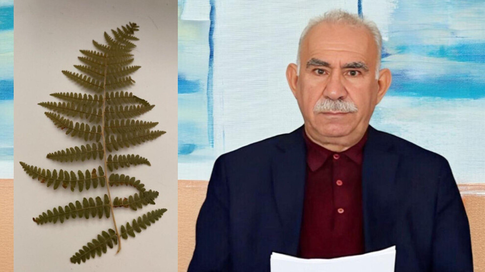 اوجالان: کاش زنان خودشان می توانستند رهبری خودشان را بر عهده بگیرند