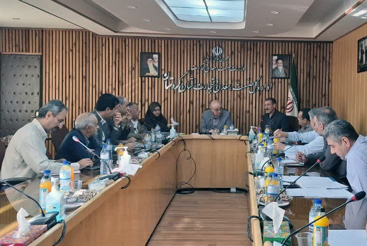 نظارت گسترده بر بازار کردستان/تأمین نان شهروندان بدون مشکل انجام می شود
