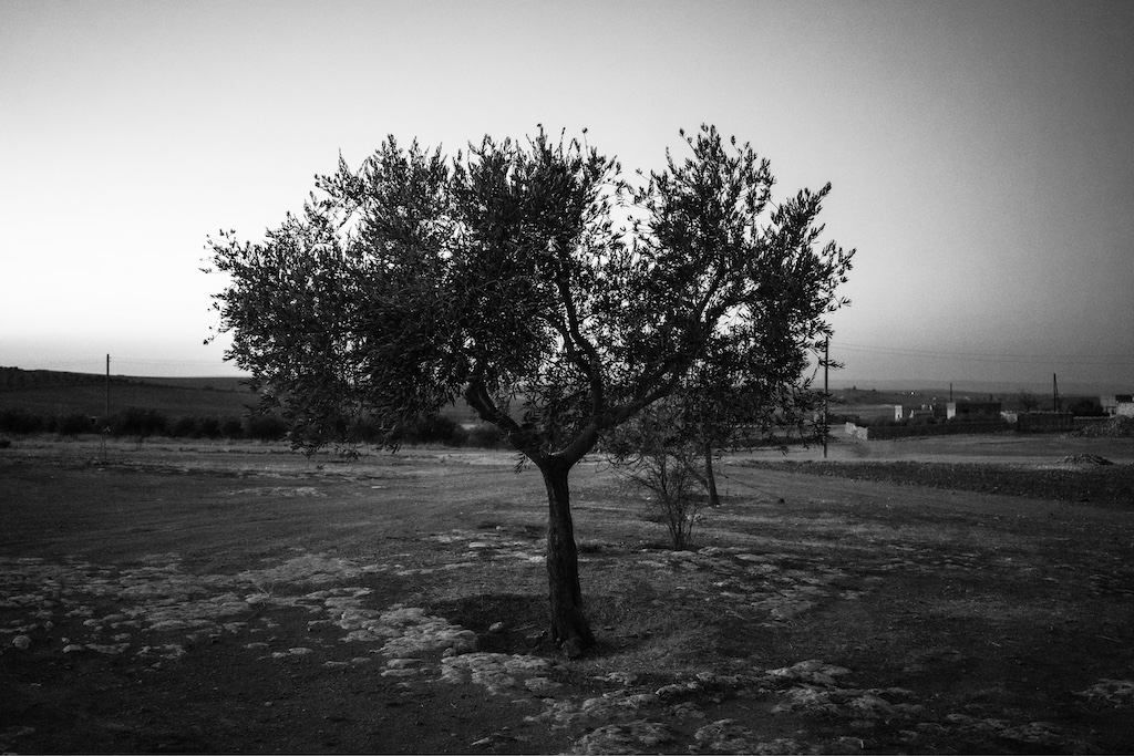 وضعیت کردهای سوریه بعد از اسد+ تصاویر