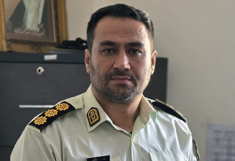 پیش بینی خرید ۸۸۰ هزار تن گندم مازاد تولید از کشاورزان کردستانی