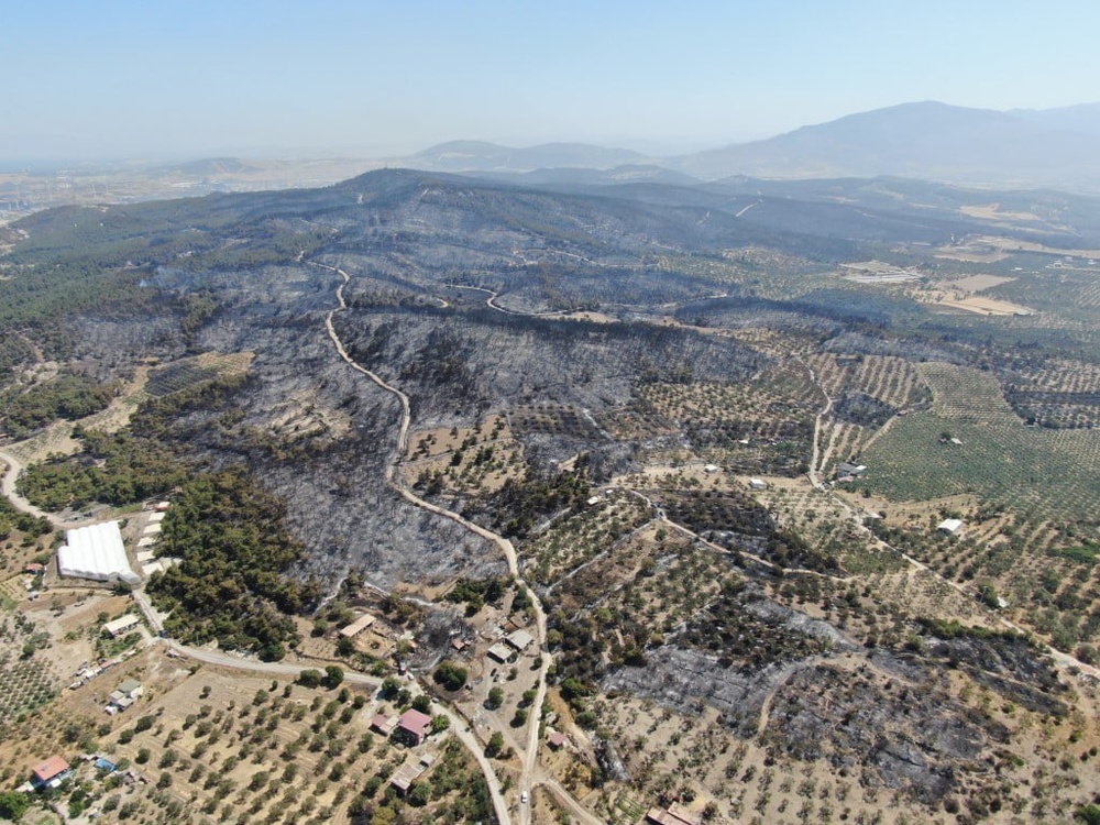 فاجعه آتش سوزی در ازمیر؛ ۱۰ محله تخلیه شد، دهها خانه سوخت