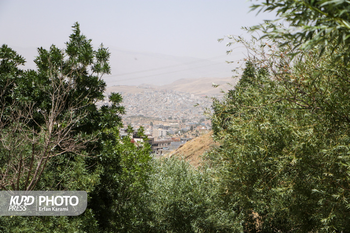 نفس گرفته سنندج / عکاس : عرفان کرمی