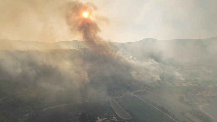 جنگلهای ترکیه در آتش؛ صدها حریق در چهار روز