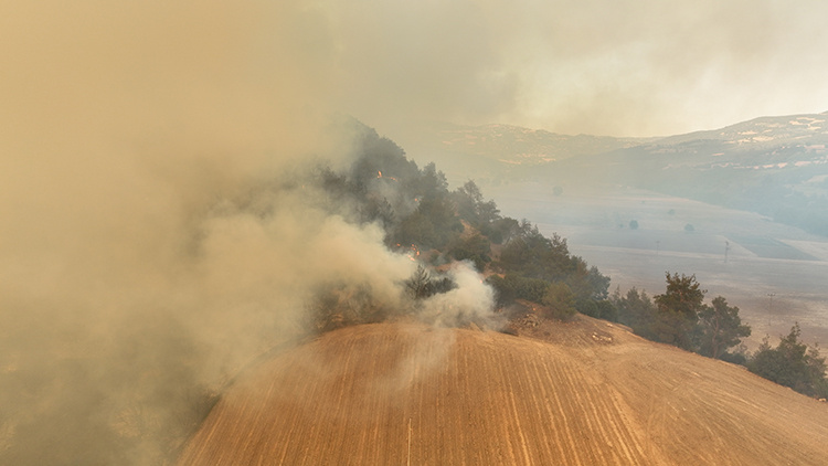 جنگلهای ترکیه در آتش؛ صدها حریق در چهار روز