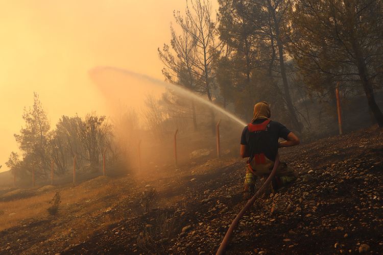 جنگلهای ترکیه در آتش؛ صدها حریق در چهار روز