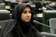 توانمندی هسته‌ای و دفاعی حق مشروع ایران است