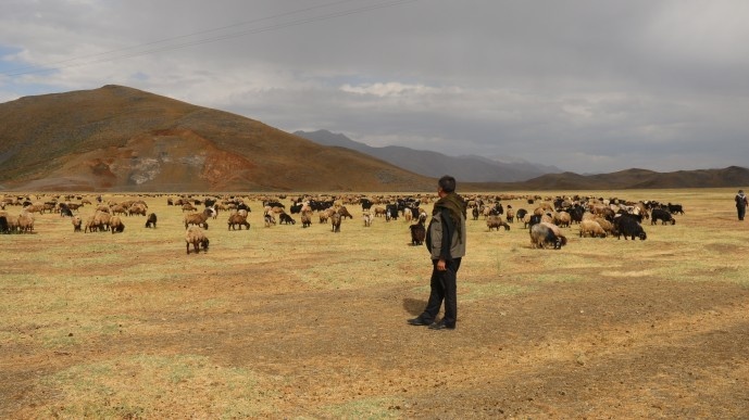 روستاییان بیتلیسی: اراضی ما توسط گاردهای محلی تصرف شده اند