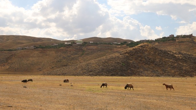 روستاییان بیتلیسی: اراضی ما توسط گاردهای محلی تصرف شده اند