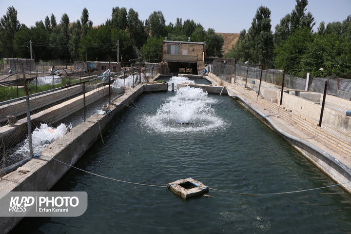 دومین روز سفر معاون توسعه روستایی و مناطق محروم رئیس جمهور به کردستان / عکاس : عرفان کرمی