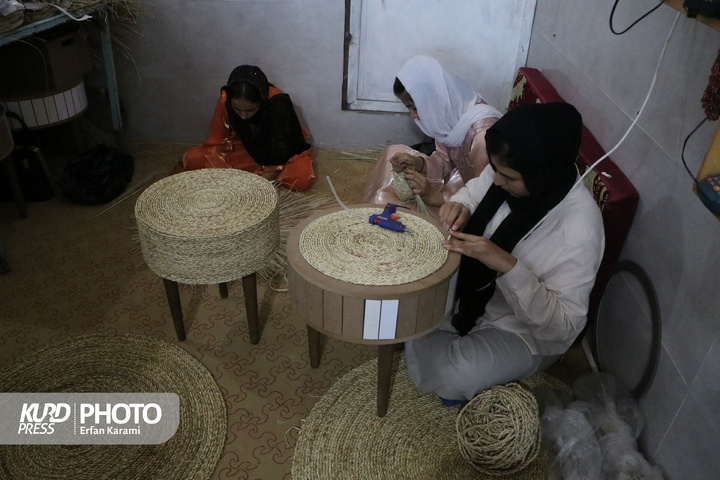 سومین روز سفر معاون توسعه روستایی و مناطق محروم رئیس جمهور به کردستان / عکاس : عرفان کرمی
